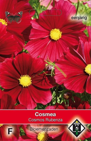 Garden cosmos Rubenza (Cosmos) 60 seeds HE